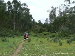 Via-Algarviana